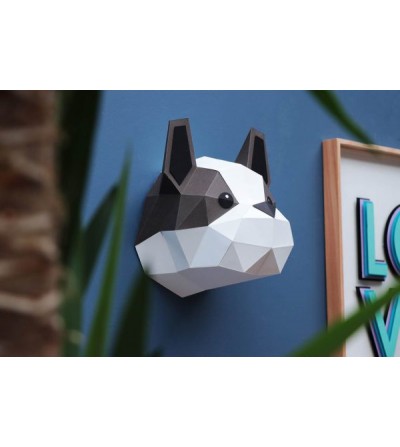Perro Papel Assembli