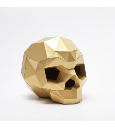 Calavera Papel Assembli