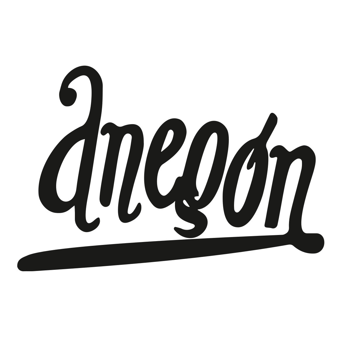 Libreria Anegon